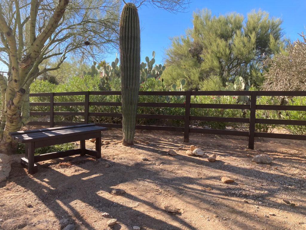 Choosing a fence for your Tucson yard